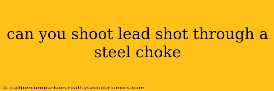 can you shoot lead shot through a steel choke