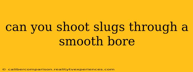 can you shoot slugs through a smooth bore