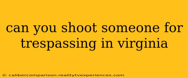 can you shoot someone for trespassing in virginia