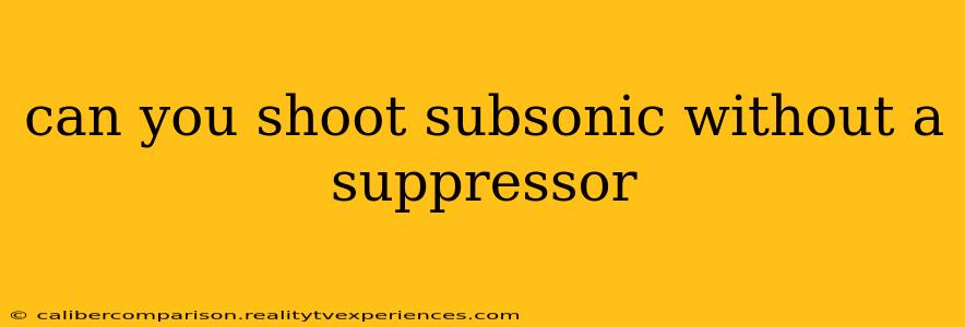 can you shoot subsonic without a suppressor