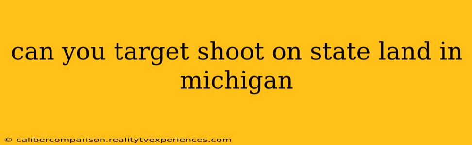 can you target shoot on state land in michigan