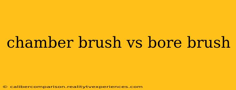 chamber brush vs bore brush