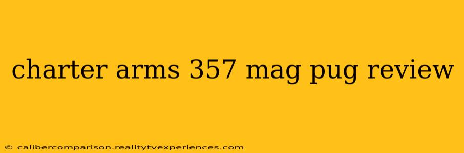 charter arms 357 mag pug review