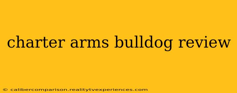 charter arms bulldog review