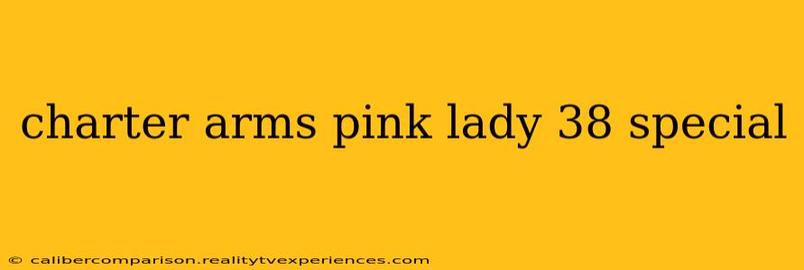 charter arms pink lady 38 special