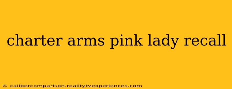 charter arms pink lady recall