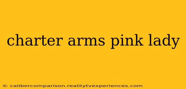 charter arms pink lady