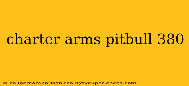 charter arms pitbull 380