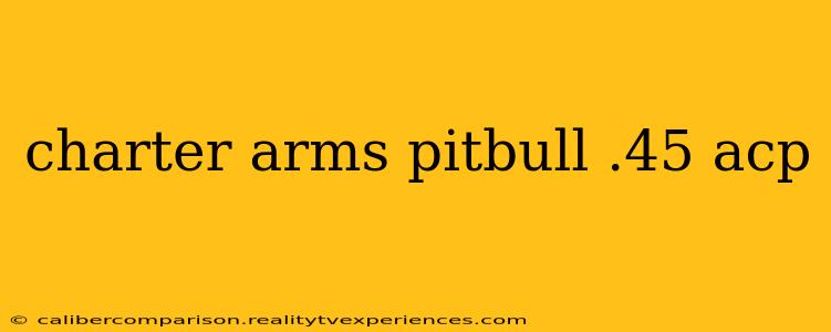 charter arms pitbull .45 acp