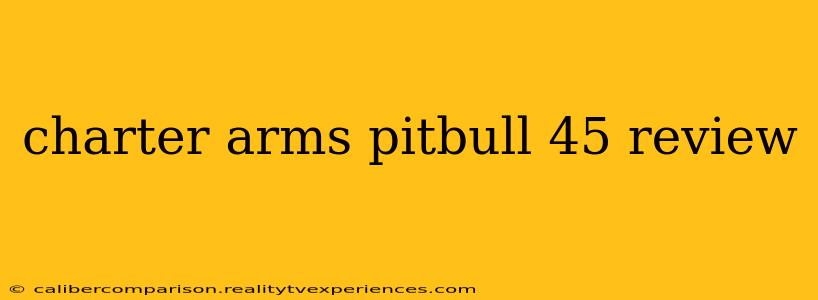 charter arms pitbull 45 review