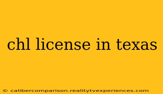 chl license in texas