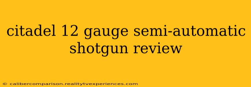 citadel 12 gauge semi-automatic shotgun review