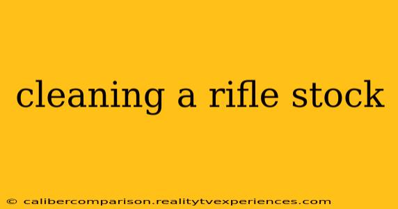 cleaning a rifle stock