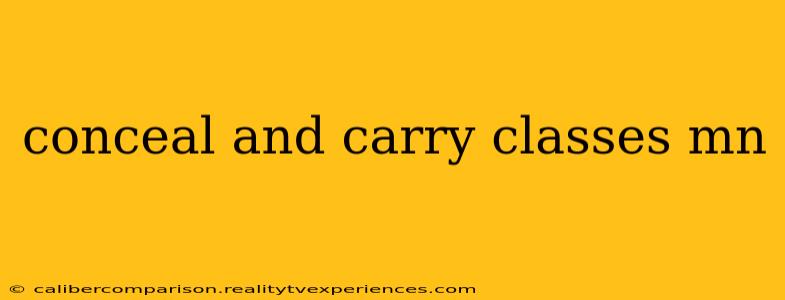 conceal and carry classes mn