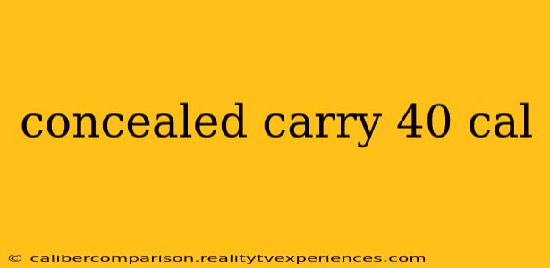 concealed carry 40 cal