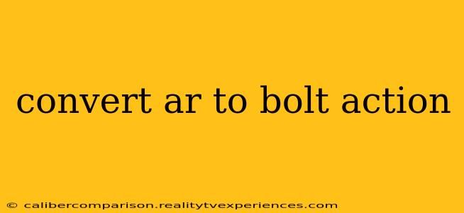 convert ar to bolt action