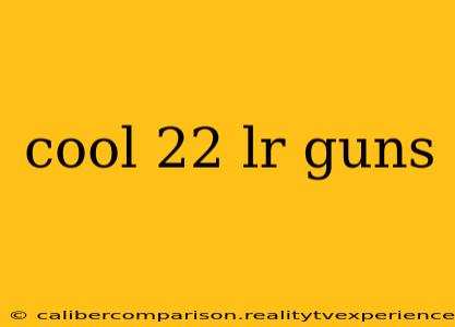 cool 22 lr guns