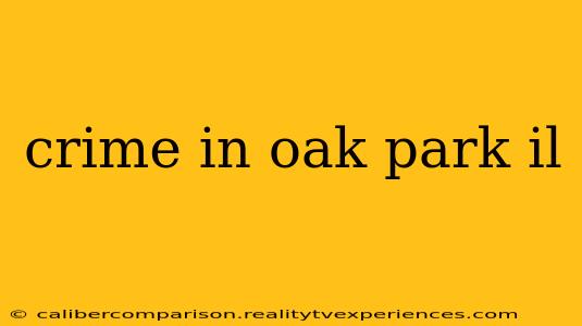 crime in oak park il