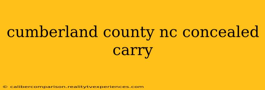 cumberland county nc concealed carry