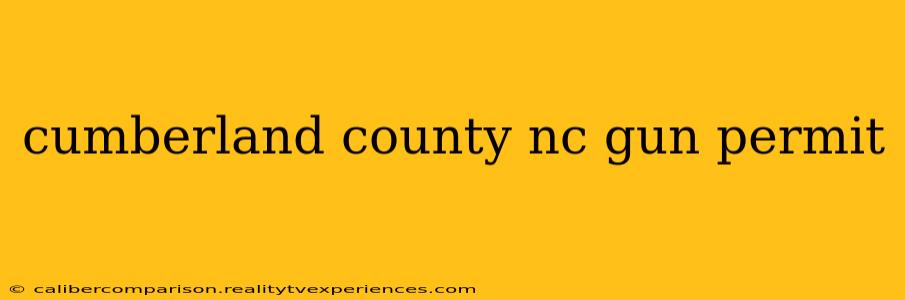 cumberland county nc gun permit