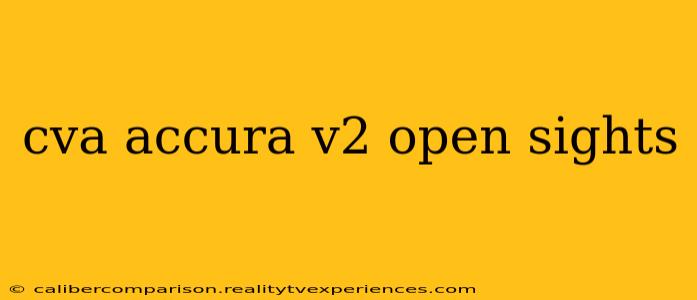 cva accura v2 open sights