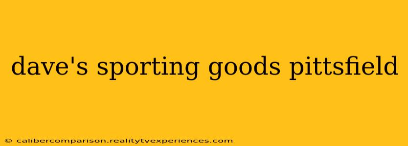 dave's sporting goods pittsfield