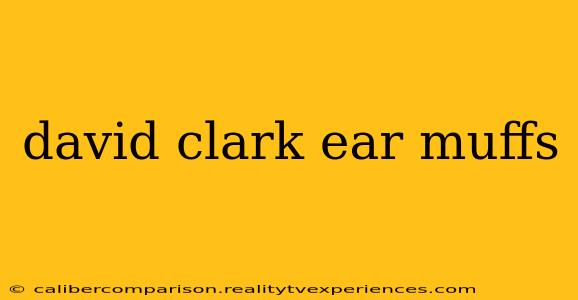 david clark ear muffs