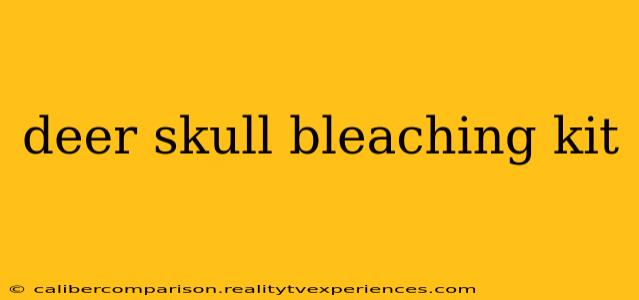 deer skull bleaching kit