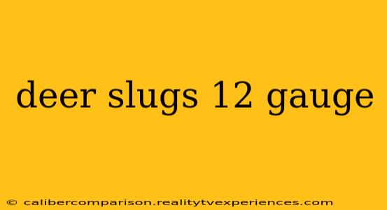 deer slugs 12 gauge