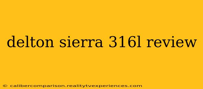 delton sierra 316l review