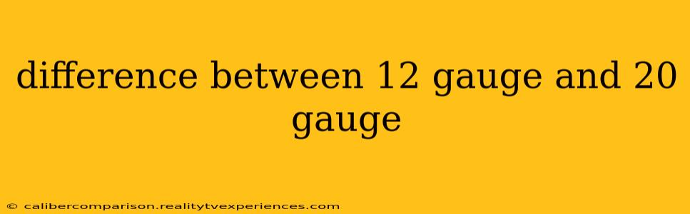 difference between 12 gauge and 20 gauge