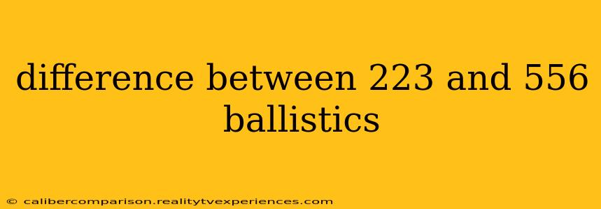 difference between 223 and 556 ballistics