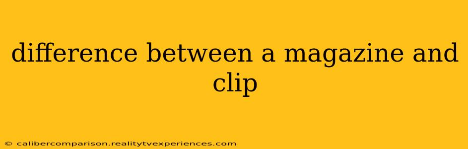 difference between a magazine and clip