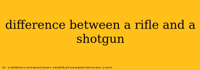 difference between a rifle and a shotgun