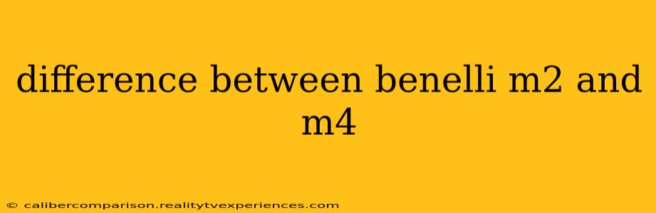 difference between benelli m2 and m4