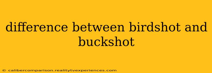 difference between birdshot and buckshot