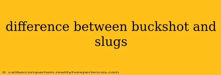 difference between buckshot and slugs