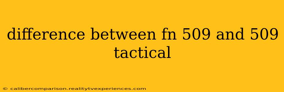 difference between fn 509 and 509 tactical