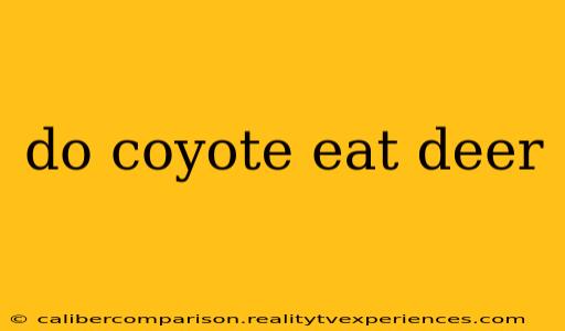 do coyote eat deer