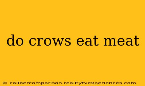 do crows eat meat