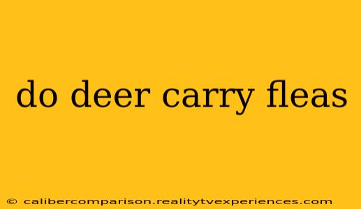 do deer carry fleas