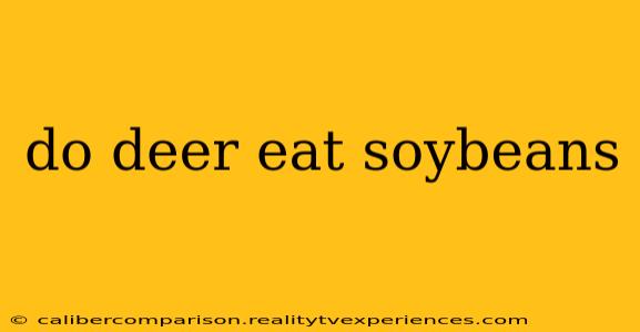 do deer eat soybeans