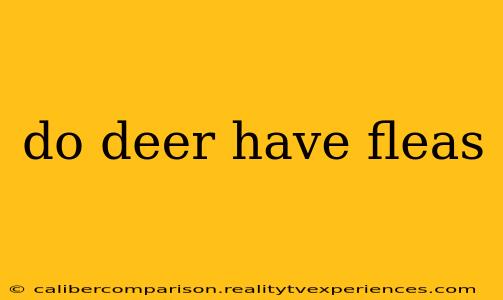 do deer have fleas