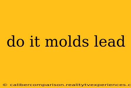 do it molds lead