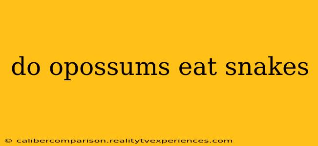 do opossums eat snakes