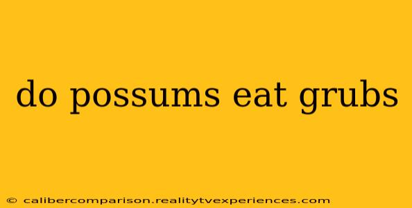 do possums eat grubs