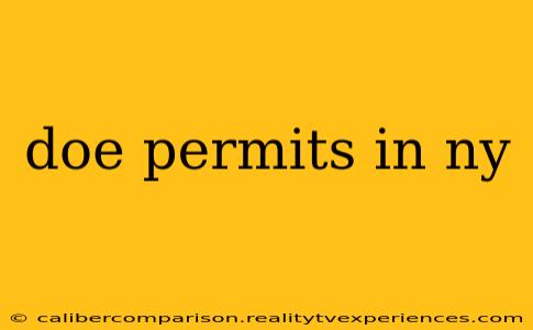 doe permits in ny