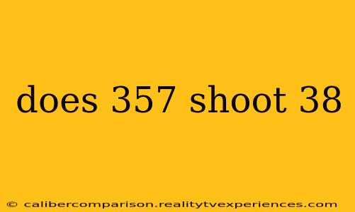 does 357 shoot 38