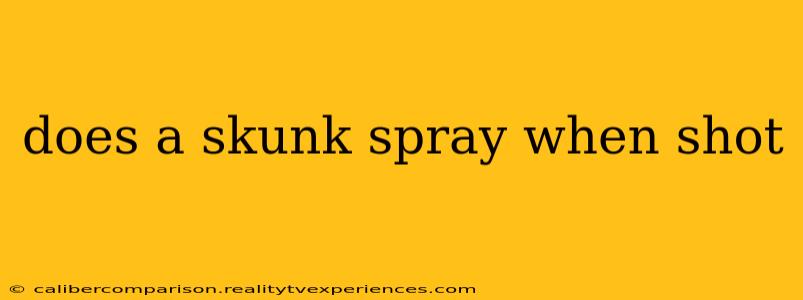 does a skunk spray when shot