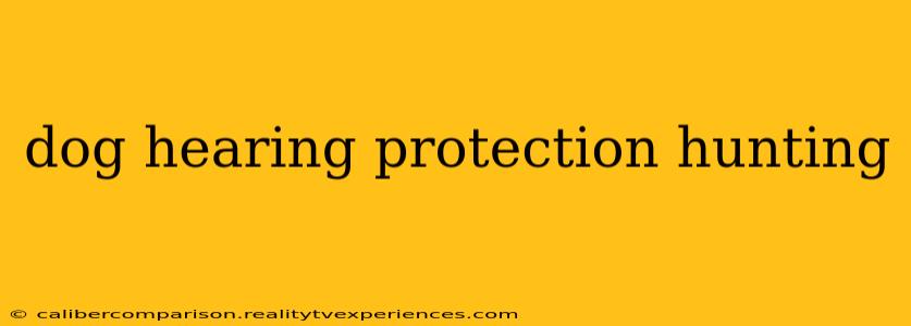 dog hearing protection hunting